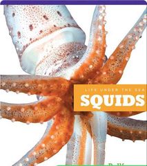 Life Under The Sea 57 Life Under The Sea_ Squids -- 绘本听读宝在线台词全文
