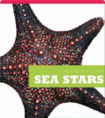 Life Under The Sea 17 Sea Stars -- 绘本听读宝在线台词全文