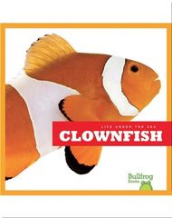 Life Under The Sea 37 Life Under The Sea_ Clownfish -- 绘本听读宝在线台词全文
