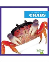 Life Under The Sea 39 Life Under The Sea_ Crabs -- 绘本听读宝在线台词全文