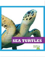 Life Under The Sea 41 Life Under The Sea_ Sea Turtles -- 绘本听读宝在线台词全文