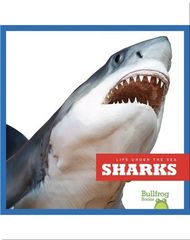 Life Under The Sea 42 Life Under The Sea_ Sharks -- 绘本听读宝在线台词全文