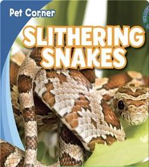 Pet Corner 1 Slithering Snakes -- 绘本听读宝在线台词全文