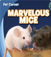 Pet Corner 61 Marvelous Mice -- 绘本听读宝在线台词全文