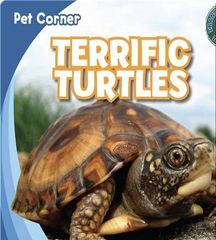 Pet Corner 3 Terrific Turtles -- 绘本听读宝在线台词全文