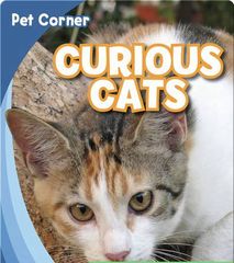 Pet Corner 18 Curious Cats -- 绘本听读宝在线台词全文
