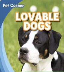 Pet Corner 19 Lovable Dogs -- 绘本听读宝在线台词全文