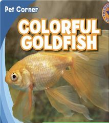 Pet Corner 20 Colorful Goldfish -- 绘本听读宝在线台词全文