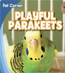 Pet Corner 22 Playful Parakeets -- 绘本听读宝在线台词全文