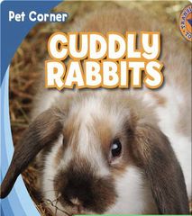 Pet Corner 23 Cuddly Rabbits -- 绘本听读宝在线台词全文