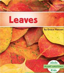 Plant Anatomy 21 Leaves -- 绘本听读宝在线台词全文