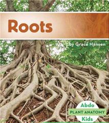 Plant Anatomy 22 Roots -- 绘本听读宝在线台词全文