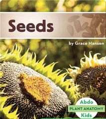 Plant Anatomy 23 Seeds -- 绘本听读宝在线台词全文