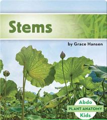 Plant Anatomy 24 Stems -- 绘本听读宝在线台词全文