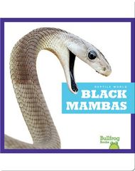 Reptile World Reptile World: Black Mambas -- 绘本听读宝在线台词全文