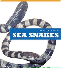 Reptile World 54 Reptile World_ Sea Snakes -- 绘本听读宝在线台词全文
