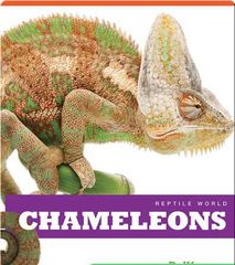 Reptile World 85 Reptile World_ Chameleons -- 绘本听读宝在线台词全文