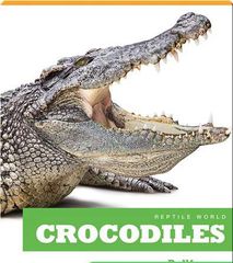 Reptile World 86 Reptile World_ Crocodiles -- 绘本听读宝在线台词全文