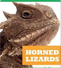 Reptile World 87 Reptile World_ Horned Lizards -- 绘本听读宝在线台词全文