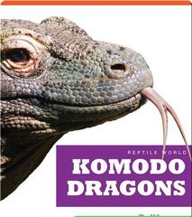 Reptile World 88 Reptile World_ Komodo Dragons -- 绘本听读宝在线台词全文