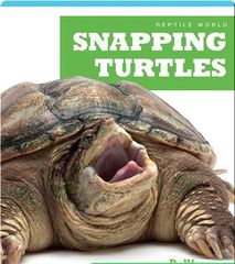 Reptile World 90 Reptile World_ Snapping Turtles -- 绘本听读宝在线台词全文