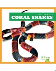 Reptile World Reptile World: Coral Snakes -- 绘本听读宝在线台词全文