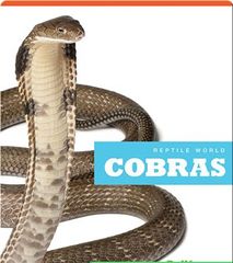 Reptile World 49 Reptile World_ Cobras -- 绘本听读宝在线台词全文
