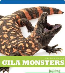 Reptile World 51 Reptile World_ Gila Monsters -- 绘本听读宝在线台词全文