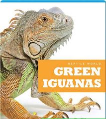 Reptile World 52 Reptile World_ Green Iguanas -- 绘本听读宝在线台词全文