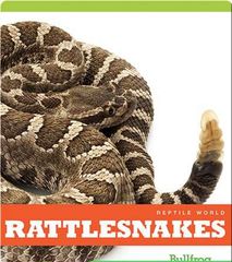 Reptile World 53 Reptile World_ Rattlesnakes -- 绘本听读宝在线台词全文