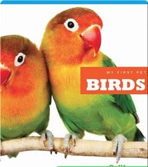 My First Pet 62 My First Pet_ Birds -- 绘本听读宝在线台词全文
