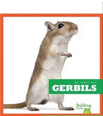 My First Pet 91 My First Pet_ Gerbils -- 绘本听读宝在线台词全文