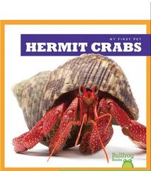 My First Pet 92 My First Pet_ Hermit Crabs -- 绘本听读宝在线台词全文