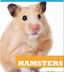 My First Pet 67 My First Pet_ Hamsters -- 绘本听读宝在线台词全文