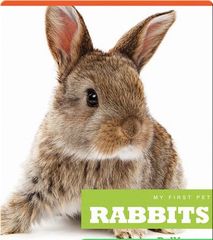 My First Pet 68 My First Pet_ Rabbits -- 绘本听读宝在线台词全文