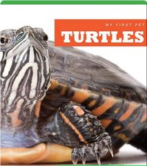 My First Pet 69 My First Pet_ Turtles -- 绘本听读宝在线台词全文
