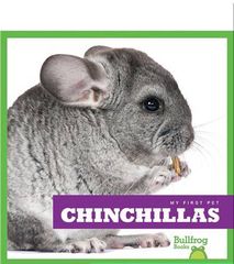 My First Pet 89 My First Pet_ Chinchillas -- 绘本听读宝在线台词全文