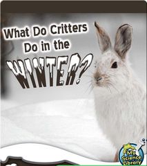 My Science Library 2-3 74 What Do Critters Do In The Winter_ -- 绘本听读宝在线台词全文