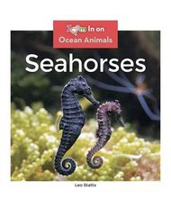 Ocean Animals 60 Seahorses -- 绘本听读宝在线台词全文