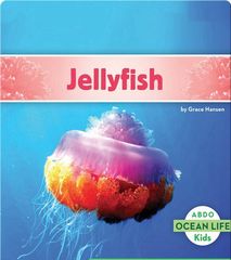 Ocean Life 31 Jellyfish -- 绘本听读宝在线台词全文