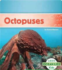 Ocean Life 32 Octopuses -- 绘本听读宝在线台词全文