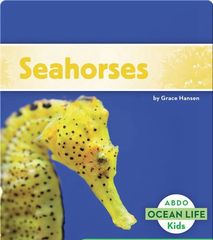 Ocean Life 33 Seahorses -- 绘本听读宝在线台词全文