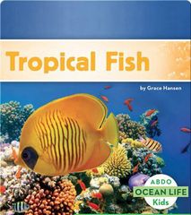 Ocean Life 34 Tropical Fish -- 绘本听读宝在线台词全文