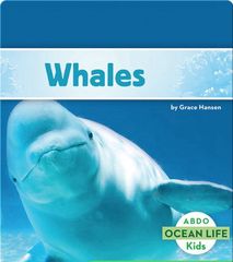 Ocean Life 36 Whales -- 绘本听读宝在线台词全文