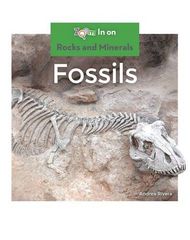 Rocks and Minerals 67 Fossils -- 绘本听读宝在线台词全文