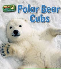 Wild Baby Animals 31 Polar Bear Cubs -- 绘本听读宝在线台词全文