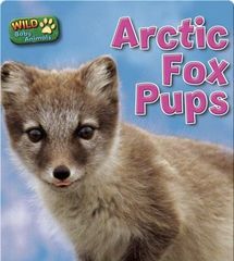 Wild Baby Animals 34 Arctic Fox Pups -- 绘本听读宝在线台词全文