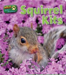 Wild Baby Animals 55 Squirrel Kits -- 绘本听读宝在线台词全文