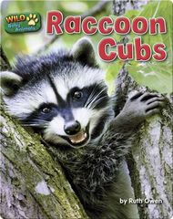 Wild Baby Animals Raccoon Cubs -- 绘本听读宝在线台词全文