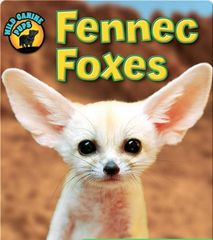 Wild Canine Pups 63 Fennec Foxes (Wild Canine Pups) -- 绘本听读宝在线台词全文